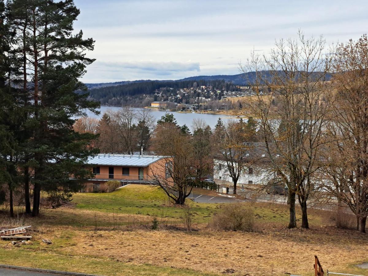 Apartman Max Lipno Lipno nad Vltavou Dış mekan fotoğraf